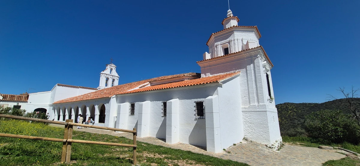 Camino hacia Llerena entre olivares y dehesa
