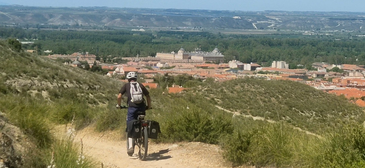 Los Sotos Históricos de Aranjuez, túnel de plátanos centenarios