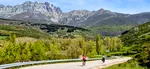 Alta Montaña