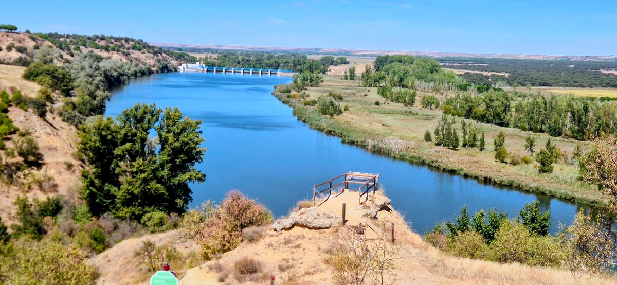 Riberas de Castronuño, un oasis de bosque de ribera y refugio de aves en el Duero.