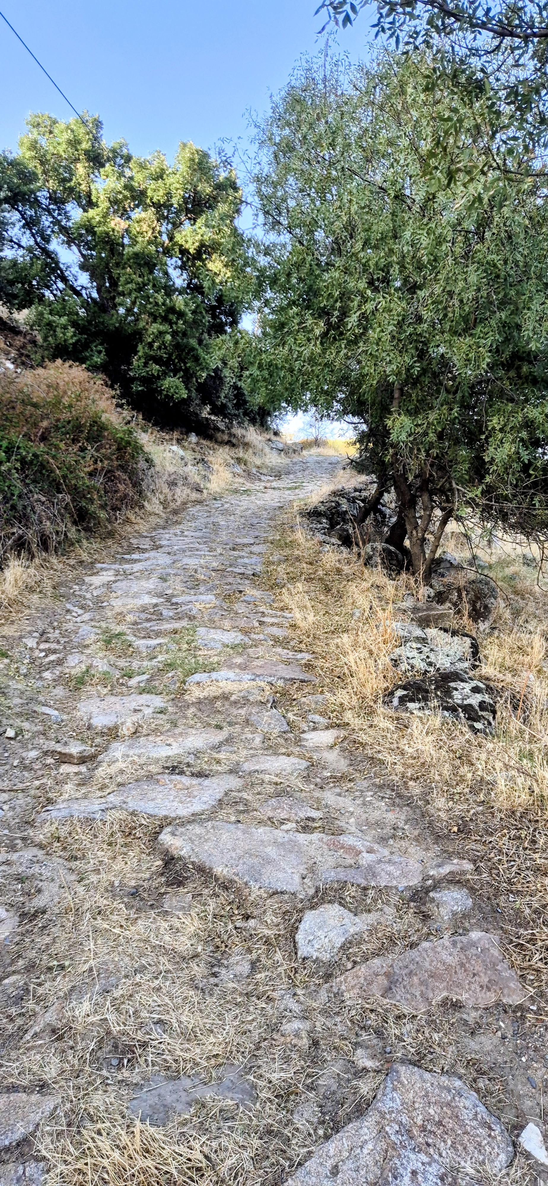Calzada Romana Via de la Plata