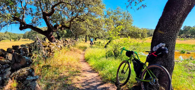 Las dehesas extremeñas: el corazón del camino