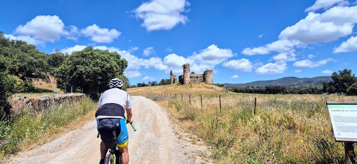 Ganado junto al Castillo de las Torres en la Vía de la Plata